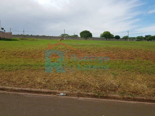 Terreno para Venda em Rio Claro - 5