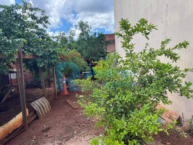 #1591 - Terreno para Venda em Santa Gertrudes - SP - 3