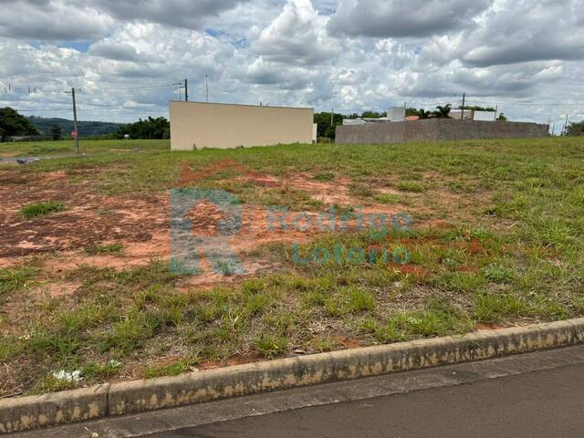 #1604 - Terreno para Venda em Ipeúna - SP - 3