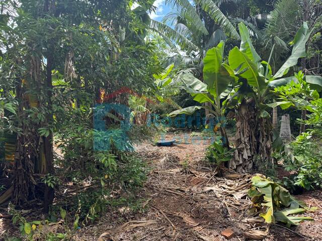 #1605 - Terreno para Venda em Ipeúna - SP - 2