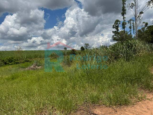 #1606 - Área para Venda em Ipeúna - SP - 3