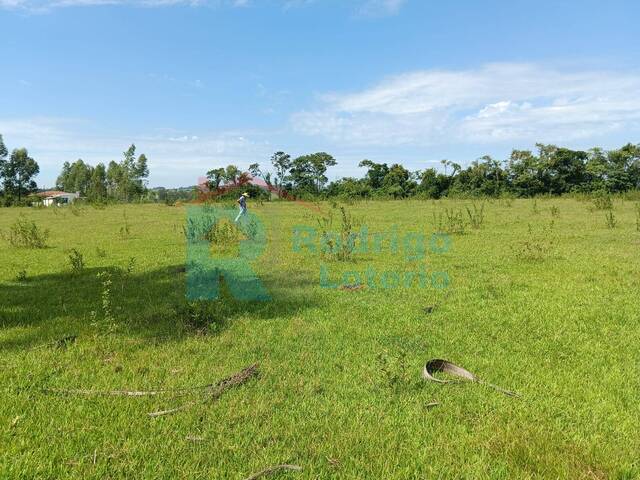 #1622 - Sítio para Venda em Rio Claro - SP - 2