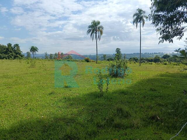#1622 - Sítio para Venda em Rio Claro - SP - 1