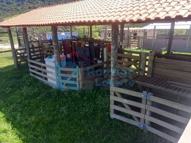 Sítio para Venda em Corumbataí - 5