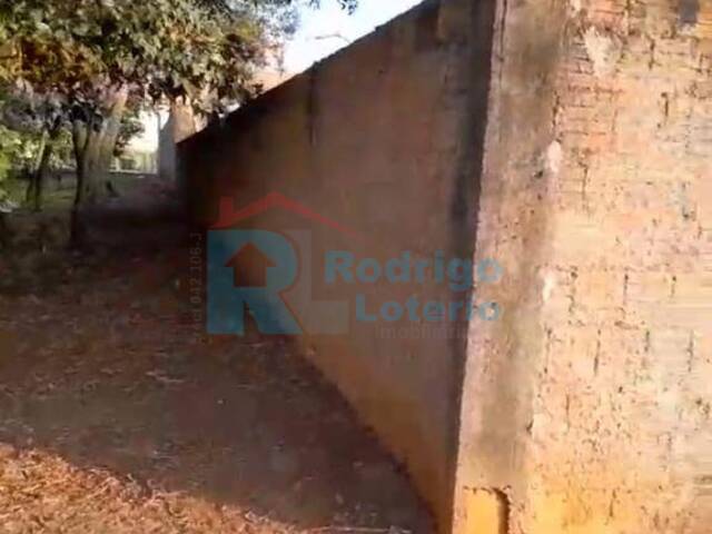 #1650 - Terreno para Venda em Ipeúna - SP - 2