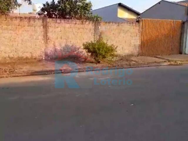 #1650 - Terreno para Venda em Ipeúna - SP - 1