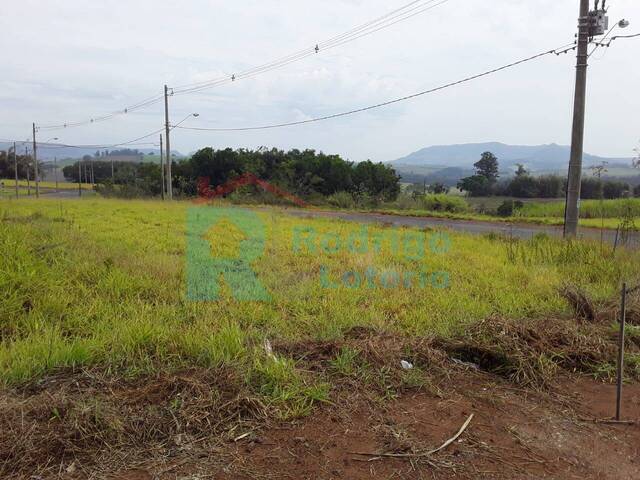 #1661 - Terreno para Venda em Ipeúna - SP - 1