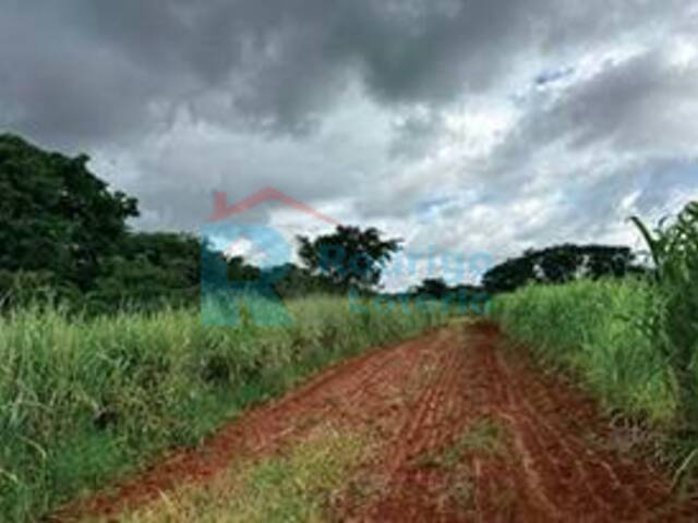 #1676 - Sítio para Venda em São Carlos - SP - 2