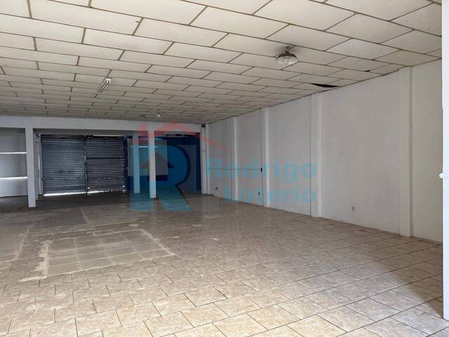 #1704 - Barracão para Locação em Rio Claro - SP - 3