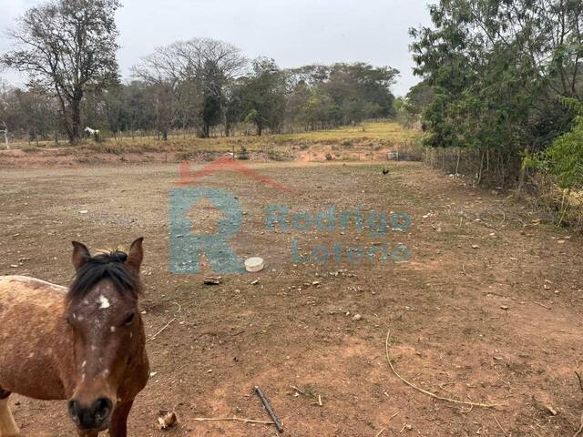 #1707 - Sítio para Venda em Rio Claro - SP - 3