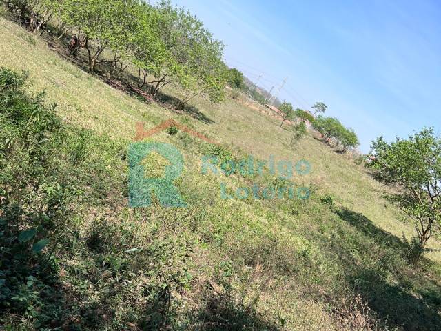 #1751 - Sítio para Venda em Rio Claro - SP - 2