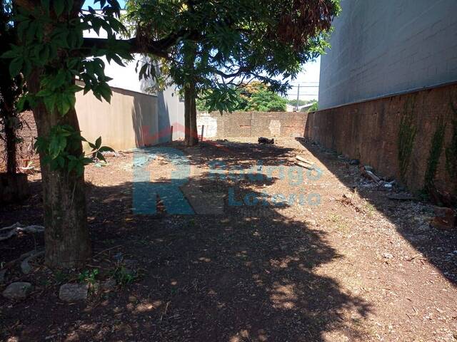 Terreno para Venda em Rio Claro - 4
