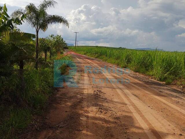 #1814 - Sítio para Venda em Ipeúna - SP - 3