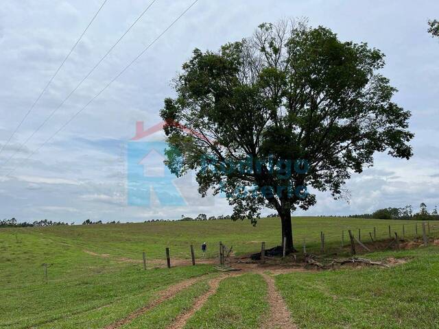 #1777 - Sítio para Venda em Corumbataí - SP - 3