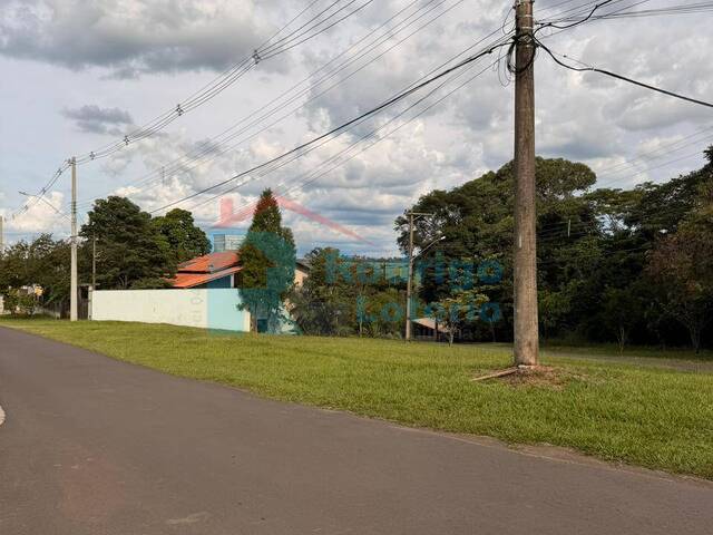 Terreno para Venda em Rio Claro - 4
