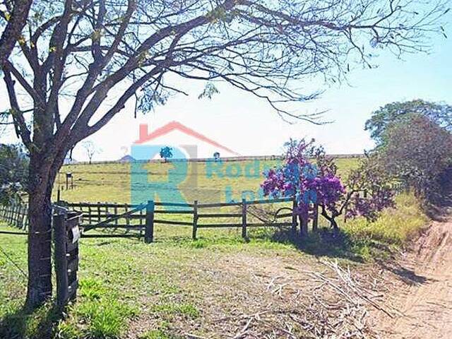 #1771 - Sítio para Venda em Ipeúna - SP - 1