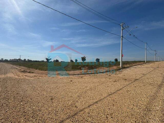 Terreno para Venda em Santa Maria da Serra - 3
