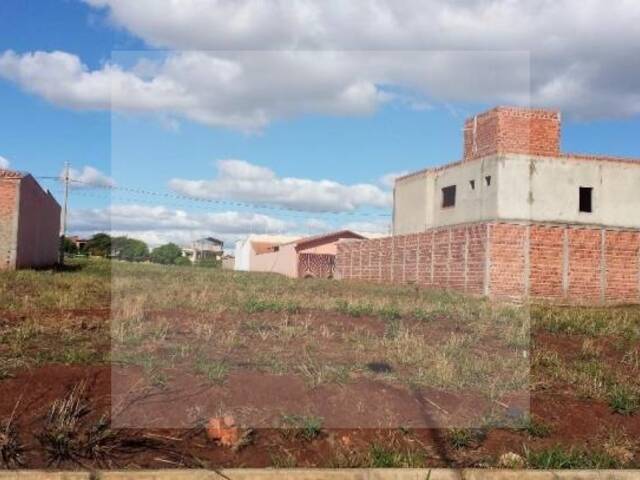 #TE0003 - Terreno para Venda em Rio Claro - SP - 3