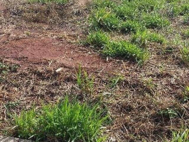 #TE0013 - Terreno para Venda em Rio Claro - SP - 2