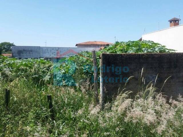 Terreno para Venda em Rio Claro - 4