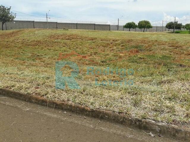 Terreno para Venda em Rio Claro - 5