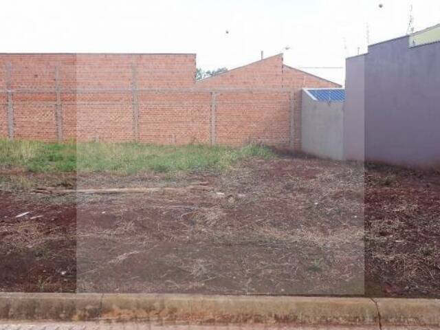 Terreno para Venda em Rio Claro - 4