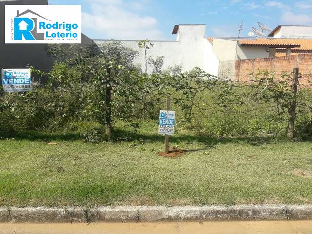 #351 - Terreno para Venda em Ipeúna - SP - 3