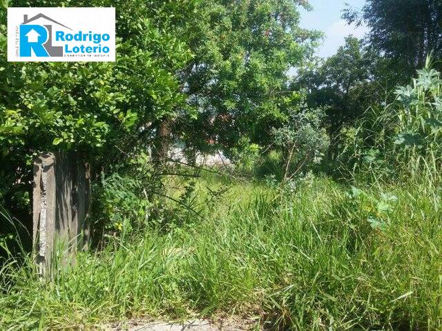 Terreno para Venda em Rio Claro - 3