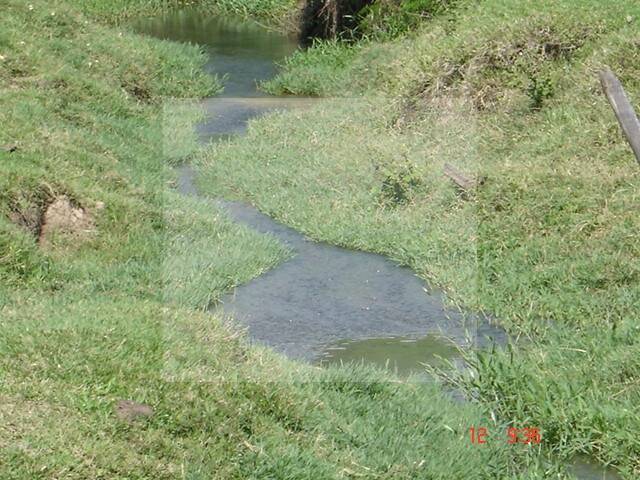 Sítio para Venda em Rio Claro - 4
