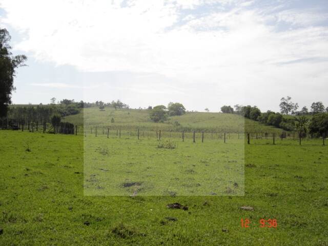 Sítio para Venda em Rio Claro - 5