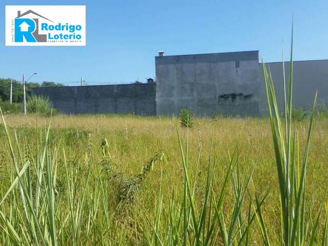 #376 - Terreno para Venda em Rio Claro - SP - 1