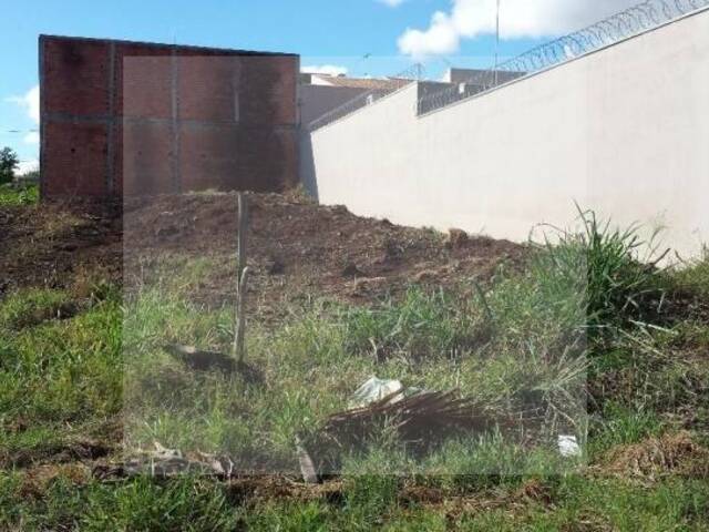 #TE0006 - Terreno para Venda em Rio Claro - SP - 3