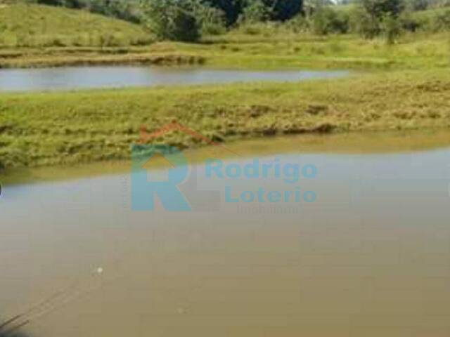 Sítio para Venda em Rio Claro - 4