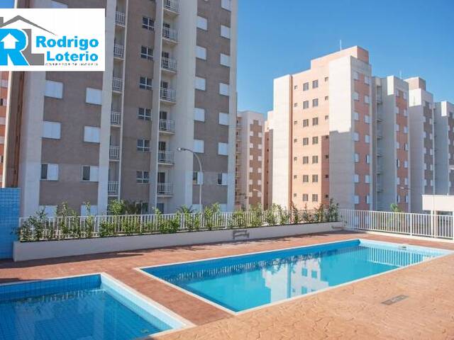 #405 - Apartamento para Venda em Rio Claro - SP - 1