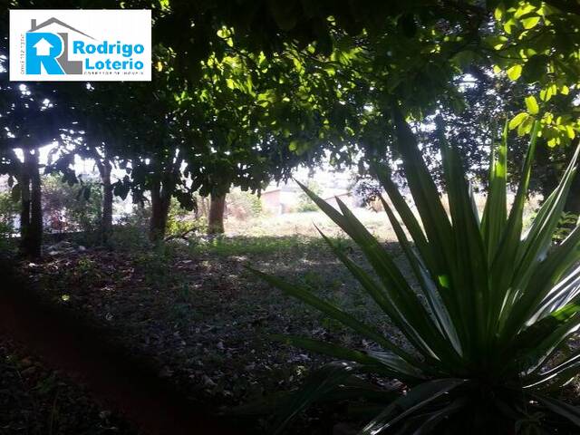 Terreno para Venda em Rio Claro - 2