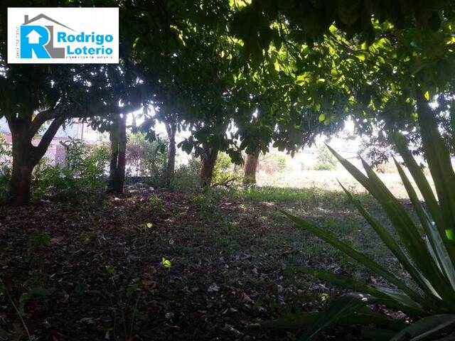 Terreno para Venda em Rio Claro - 4