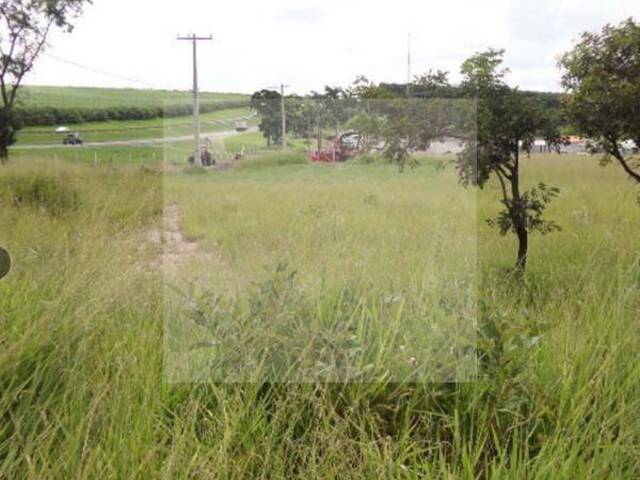 Área para Venda em Itirapina - 4