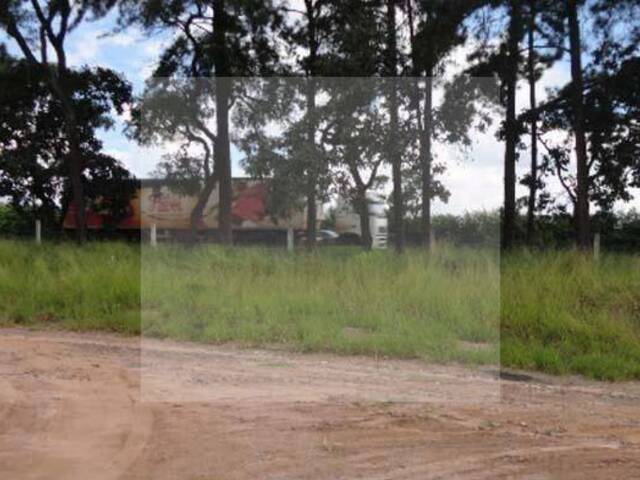 Área para Venda em Itirapina - 5