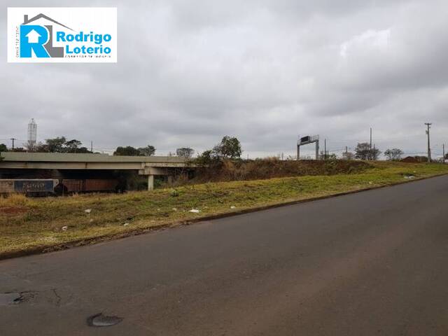 #424 - Terreno para Venda em Rio Claro - SP - 2