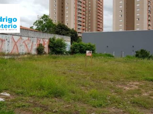 Terreno para Locação em Rio Claro - 5
