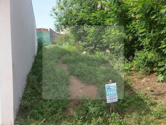 #TE0011 - Terreno para Venda em Rio Claro - SP - 2