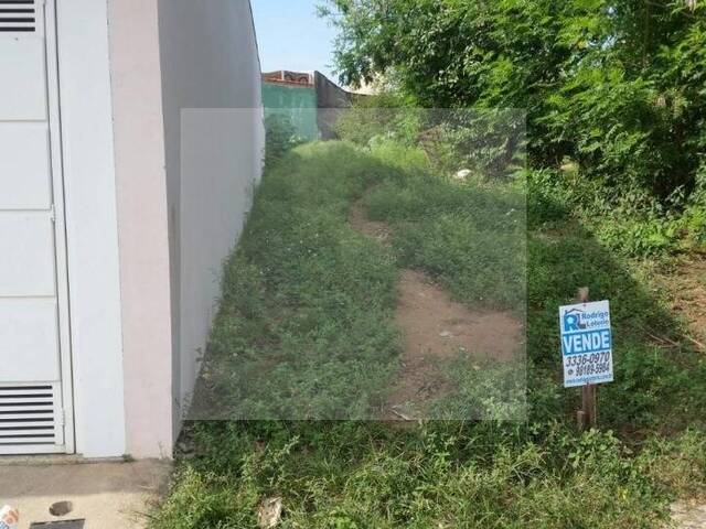 #TE0011 - Terreno para Venda em Rio Claro - SP - 3