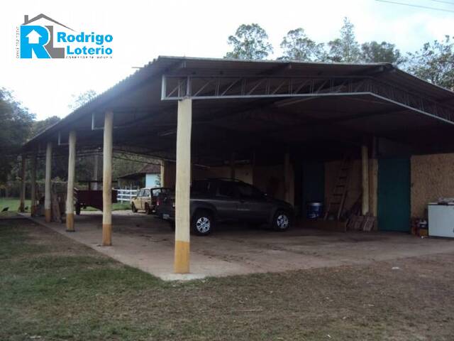 Sítio para Venda em Rio Claro - 4